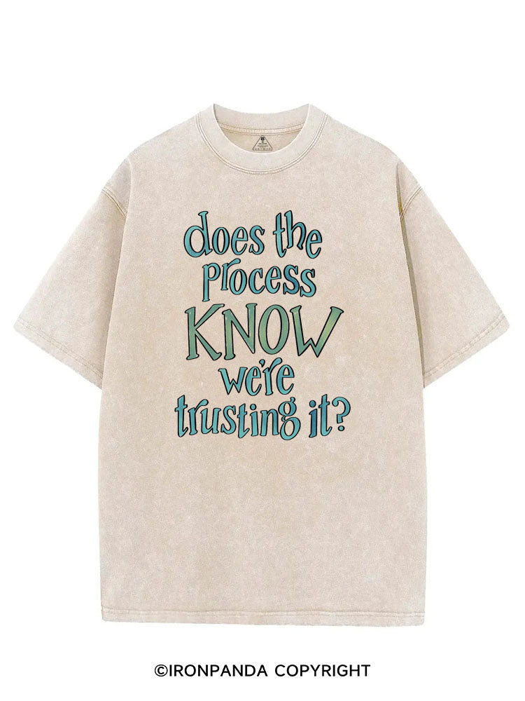 DOES THE PROCESS KNOW WE'RE TRUSTING IT? VINTAGE GYM SHIRT