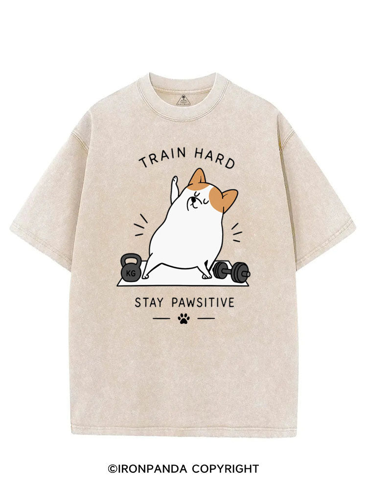 TRAIN HARD STAY PAWSITIVE VINTAGE GYM SHIRT