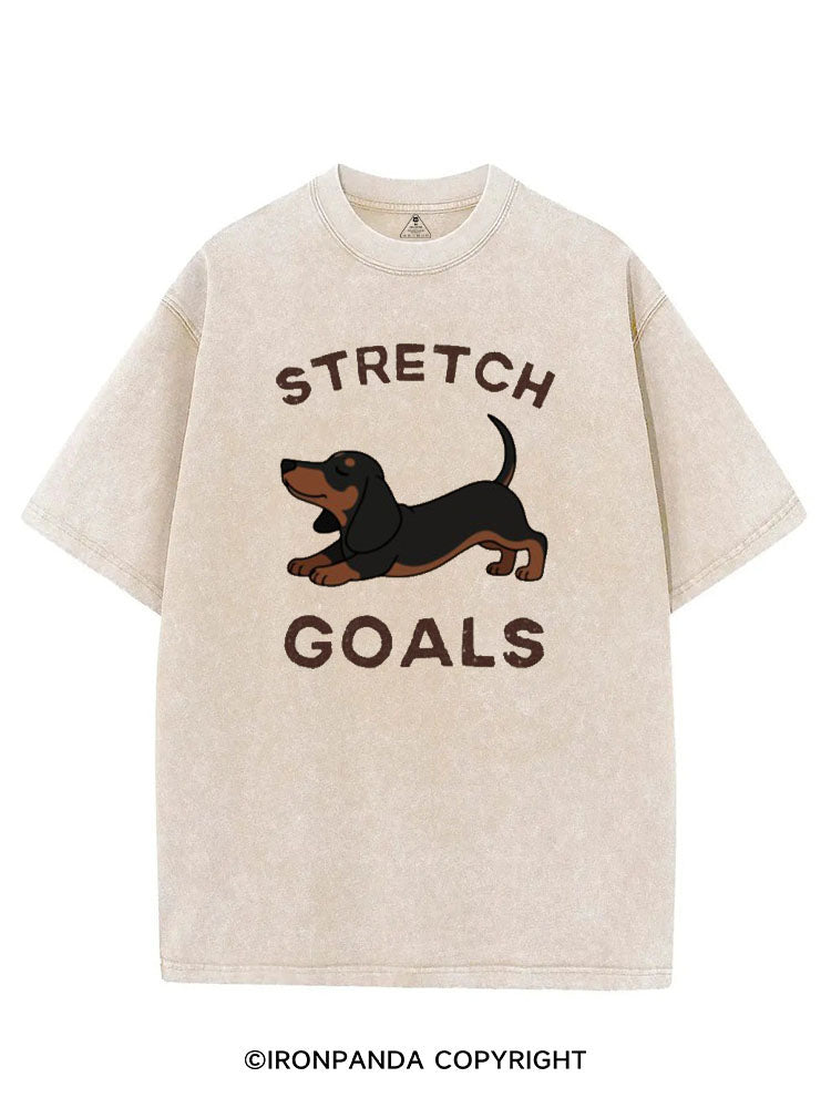 STRETCH GOALS VINTAGE GYM SHIRT