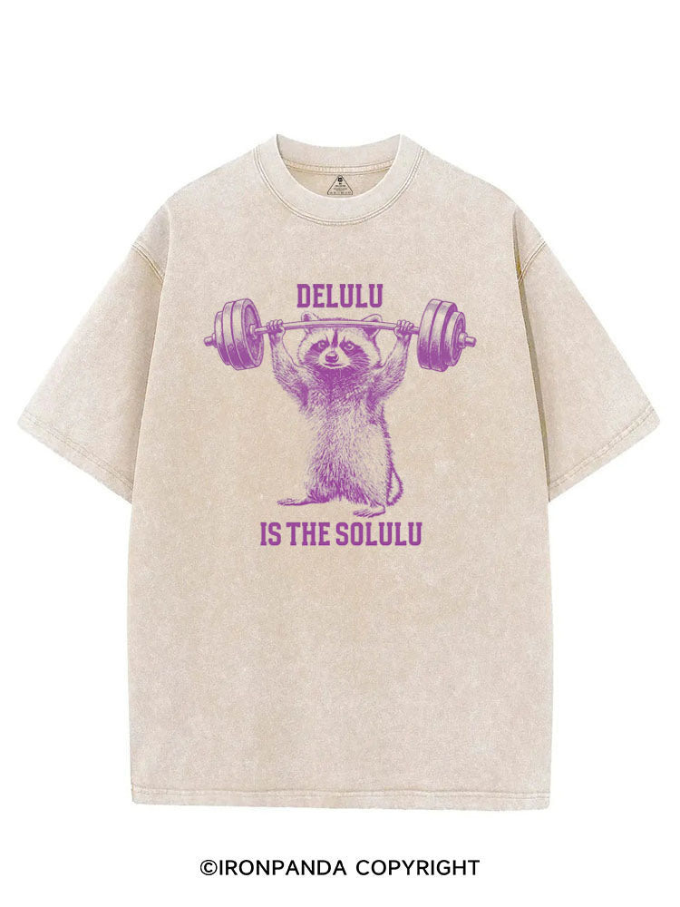DELULU IS THE SOLULU VINTAGE GYM SHIRT
