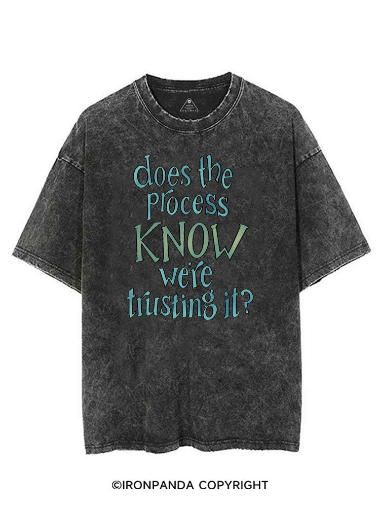 DOES THE PROCESS KNOW WE'RE TRUSTING IT? VINTAGE GYM SHIRT