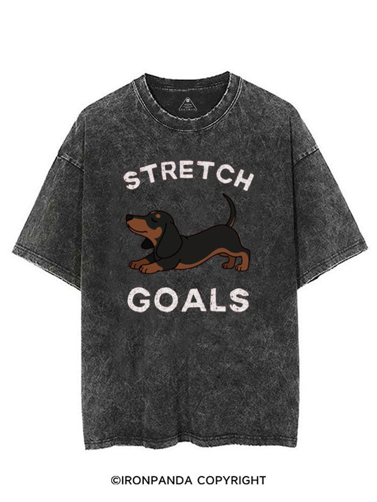 STRETCH GOALS VINTAGE GYM SHIRT