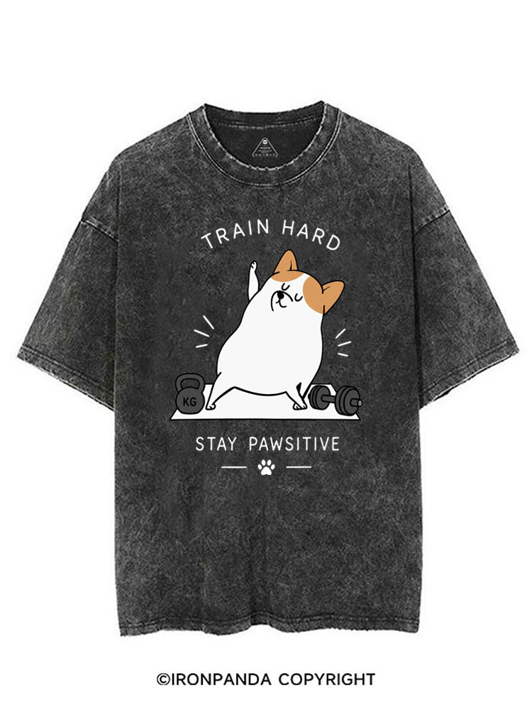 TRAIN HARD STAY PAWSITIVE VINTAGE GYM SHIRT