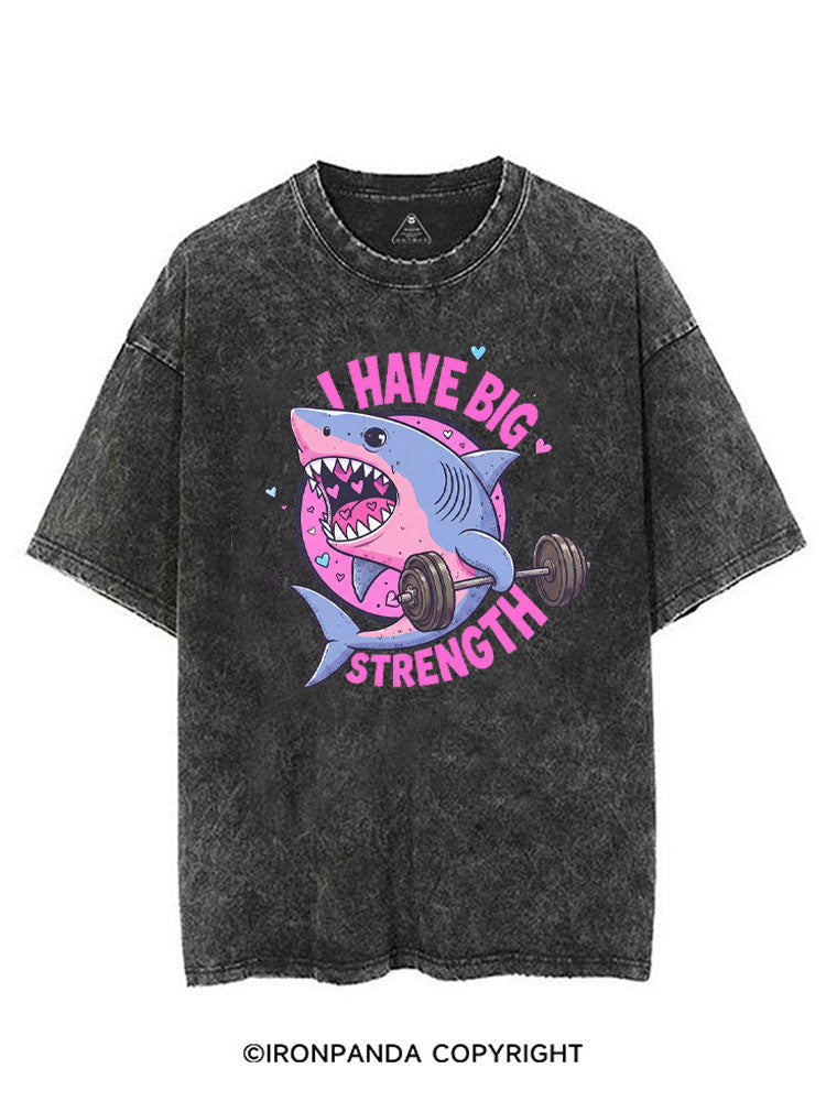 I HAVE BIG STRENGTH VINTAGE GYM SHIRT