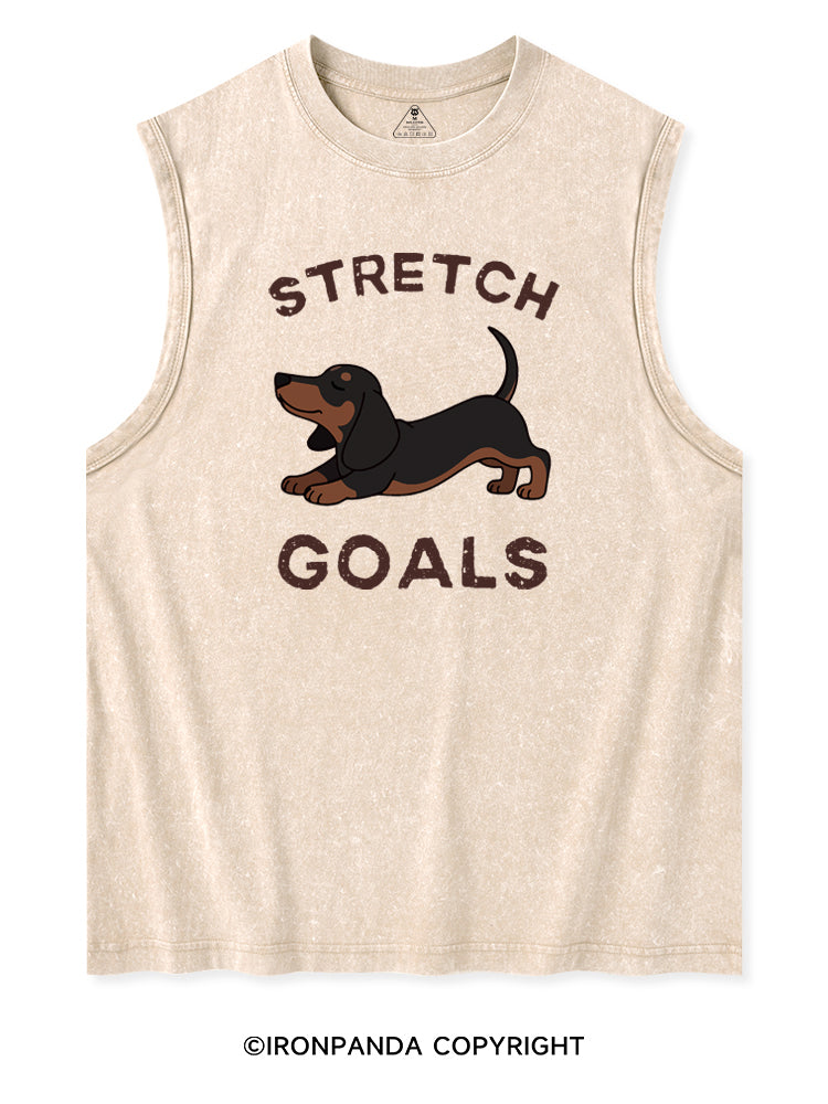 STRETCH GOALS Washed Tank