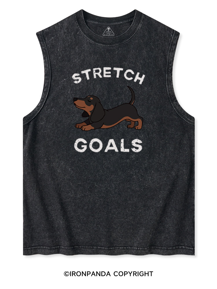 STRETCH GOALS Washed Tank