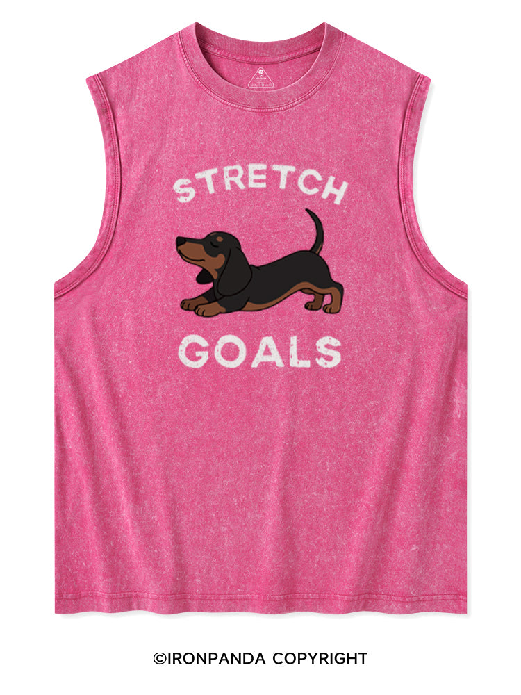 STRETCH GOALS Washed Tank