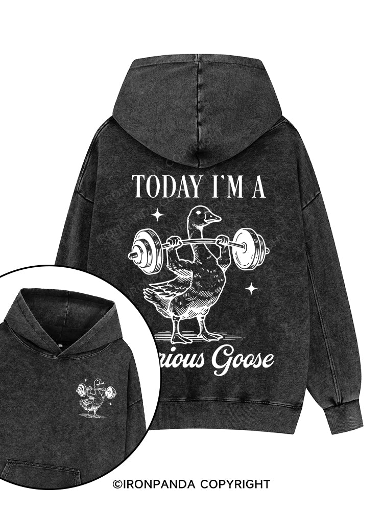 TODAY I'M A Serious Goose Printed Washed Gym Hoodie