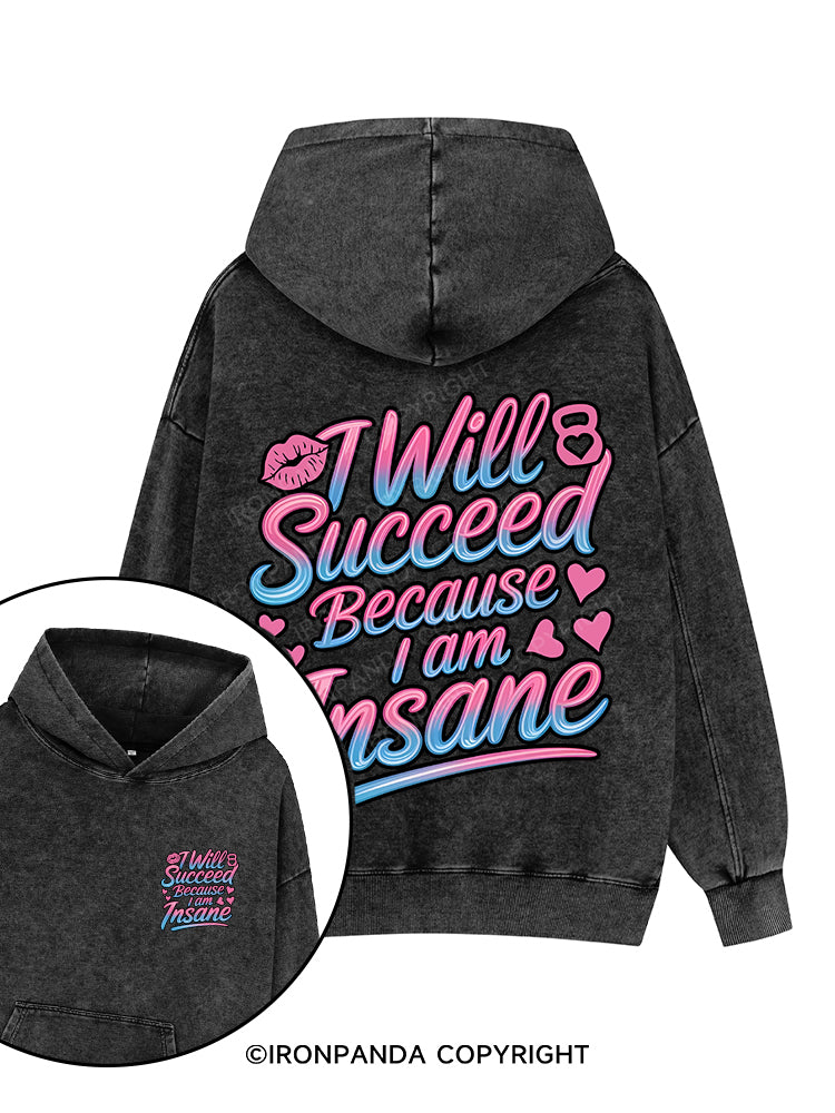 I WILL SUCCEED BECAUSE I AM INSANE Printed Washed Gym Hoodie