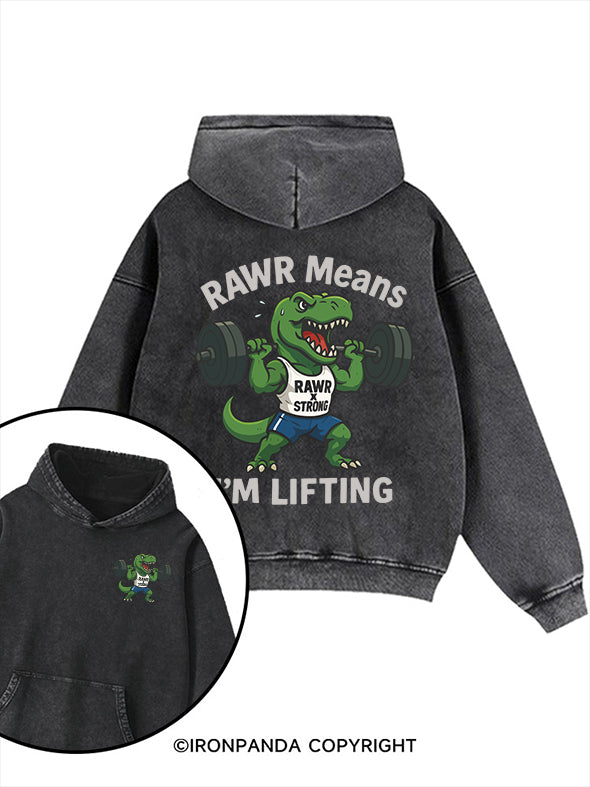 Dinosaur Lifting Printed Washed Gym Hoodie