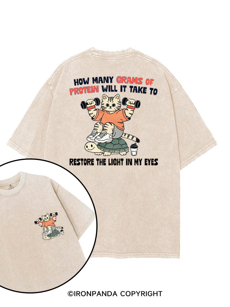 HOW MANY GRAMS OF PROTEIN WILL IT TAKE TO RESTORE THE LIGHT IN MY EYES printed Gym Shirt