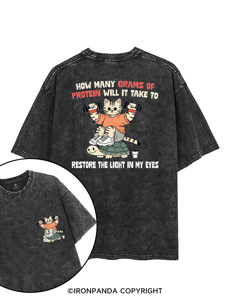 HOW MANY GRAMS OF PROTEIN WILL IT TAKE TO RESTORE THE LIGHT IN MY EYES printed Gym Shirt