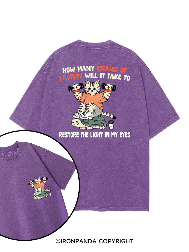 HOW MANY GRAMS OF PROTEIN WILL IT TAKE TO RESTORE THE LIGHT IN MY EYES printed Gym Shirt